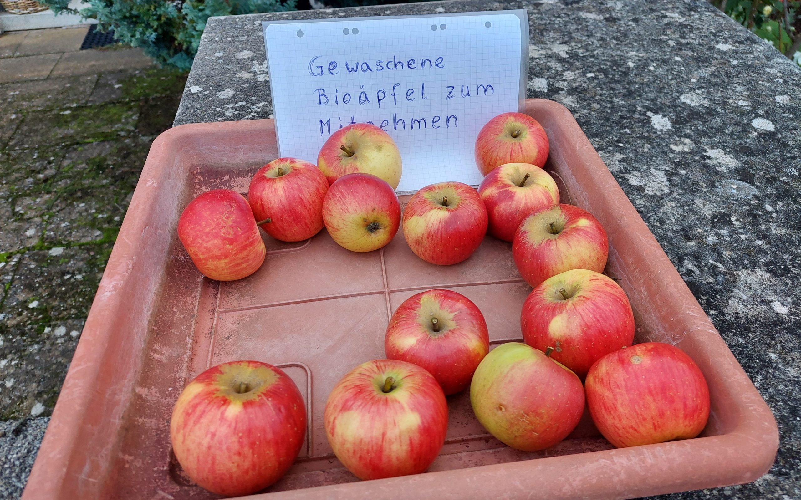 Bild mit einer Schale Äpfel. Auf einem Schild steht: Gewaschene Bioäpfel zum Mitnehmen